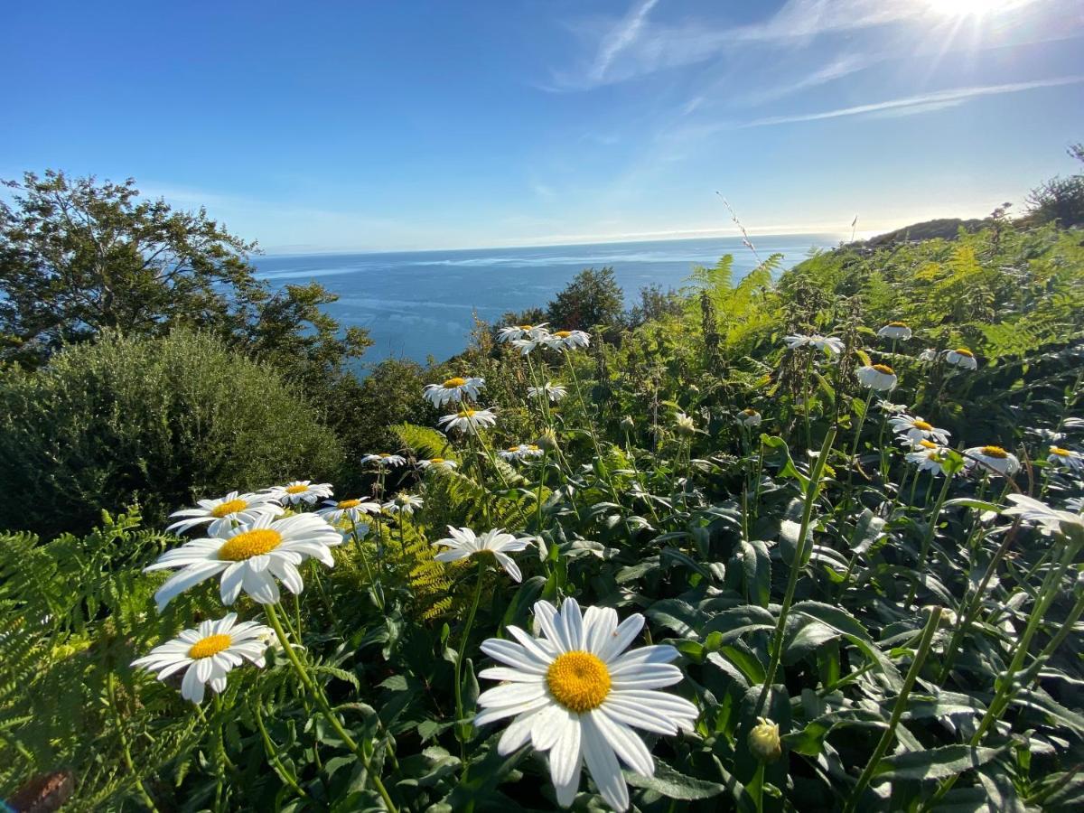 Rooms At Babbacombe ทอร์คิ ภายนอก รูปภาพ